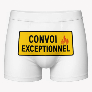 Boxers humoristiques personnalisés